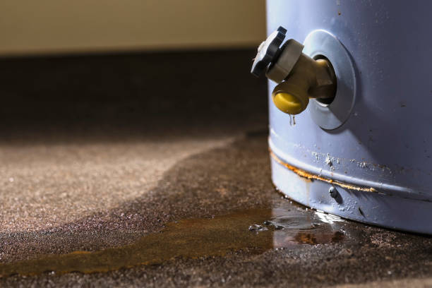 Best Residential water damage restoration  in Morton, IL