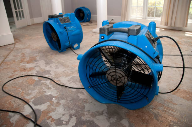 Best Local water damage restoration  in Morton, IL