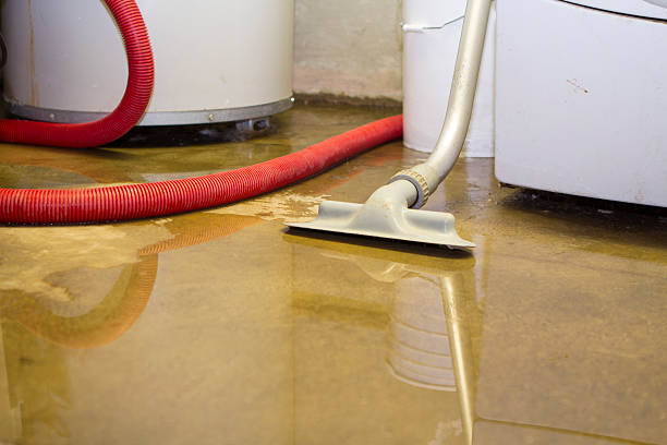 Best Fire Damage Restoration  in Morton, IL