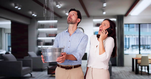  Morton, IL Water damage restoration Pros