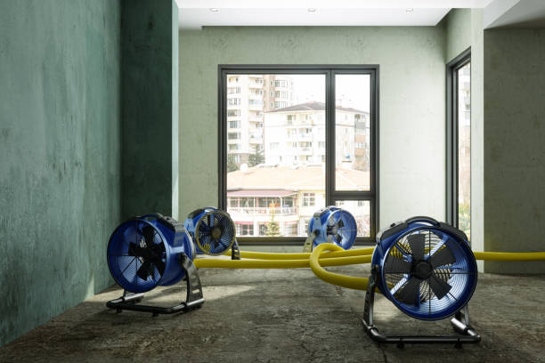 Best Carpet water damage restoration  in Morton, IL